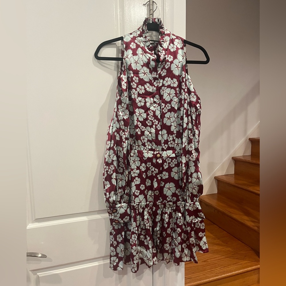 Alexis Burgundy and White Floral Mini Dress